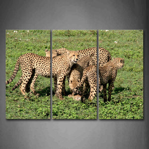 Cheetahs Stand On Grassland Together Wall Art Painting Pictures Print On Canvas Animal The Picture For Home Modern Decoration 