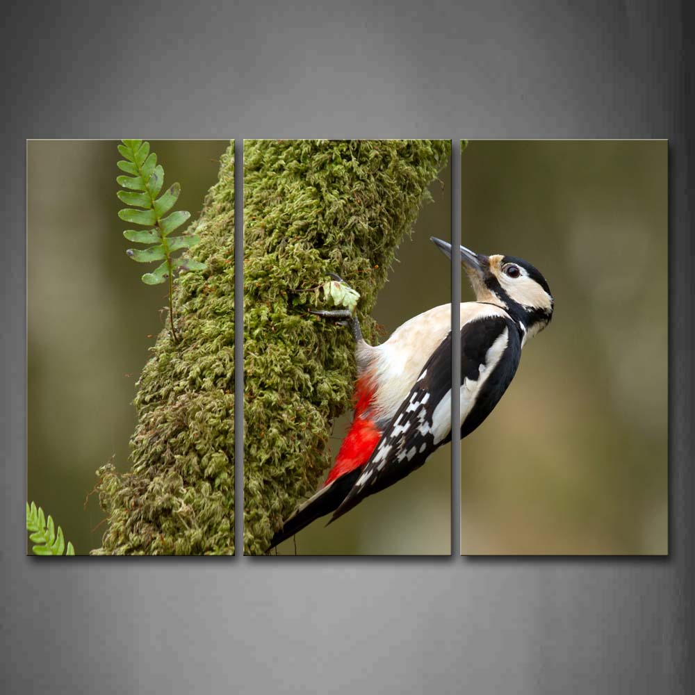 Bird Crawl On Trunk To Find Food Moss Wall Art Painting The Picture Print On Canvas Animal Pictures For Home Decor Decoration Gift 