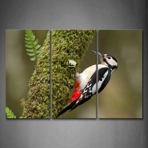 Bird Crawl On Trunk To Find Food Moss Wall Art Painting The Picture Print On Canvas Animal Pictures For Home Decor Decoration Gift 