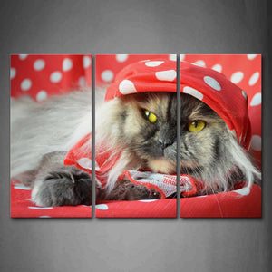 Cat Wear Red Hood Lie On Cloth Wall Art Painting Pictures Print On Canvas Animal The Picture For Home Modern Decoration 