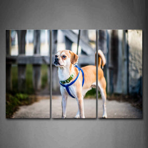 Dog Stand On Path Wood Fence Wall Art Painting The Picture Print On Canvas Animal Pictures For Home Decor Decoration Gift 