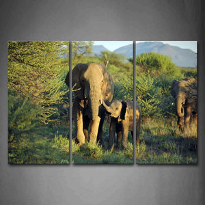 Elephants Walk On Grass Near Trees Mountain Wall Art Painting Pictures Print On Canvas Animal The Picture For Home Modern Decoration 