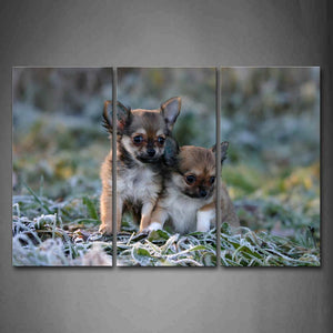 Two Cub Dogs Stand Closely On Grass Winter Wall Art Painting Pictures Print On Canvas Animal The Picture For Home Modern Decoration 