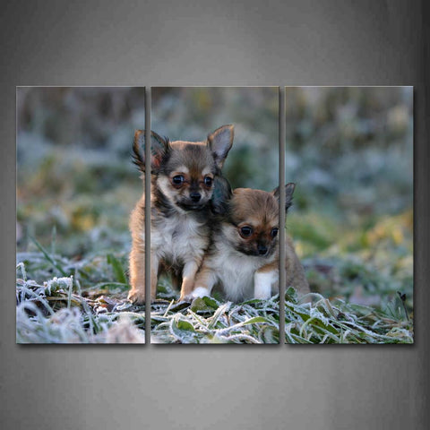 Two Cub Dogs Stand Closely On Grass Winter Wall Art Painting Pictures Print On Canvas Animal The Picture For Home Modern Decoration 