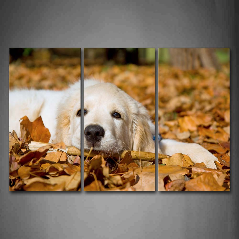 White Dog Lie On Fallen Leafs Wall Art Painting The Picture Print On Canvas Animal Pictures For Home Decor Decoration Gift 