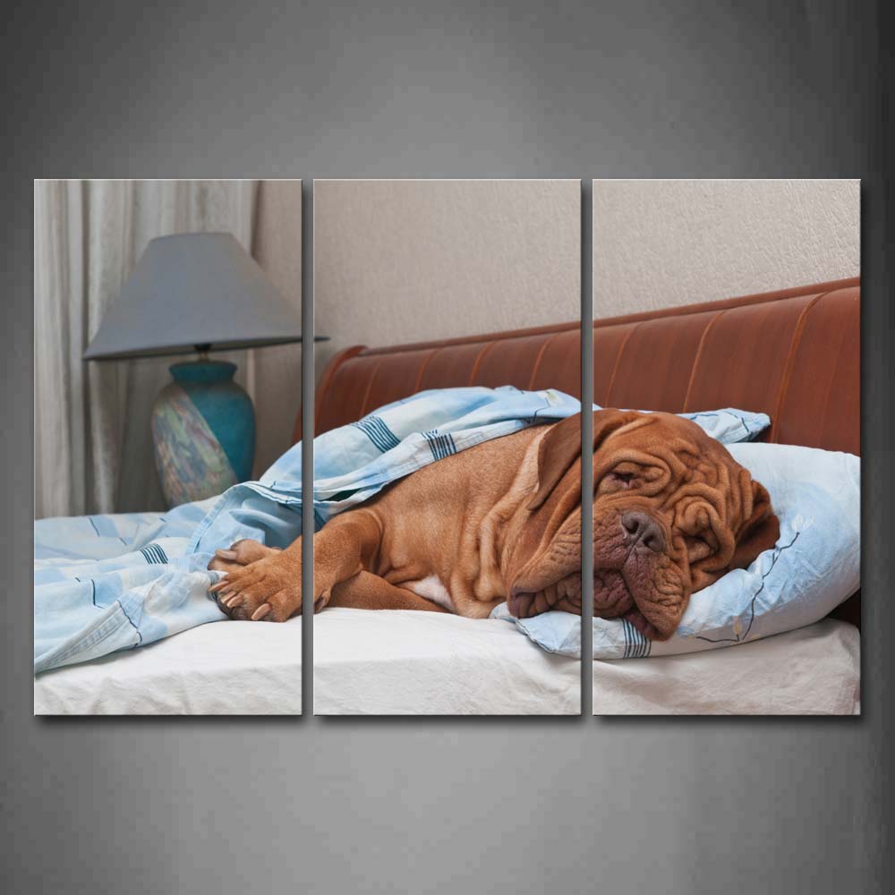 Yellow Dog Sleep On Bed  Wall Art Painting Pictures Print On Canvas Animal The Picture For Home Modern Decoration 