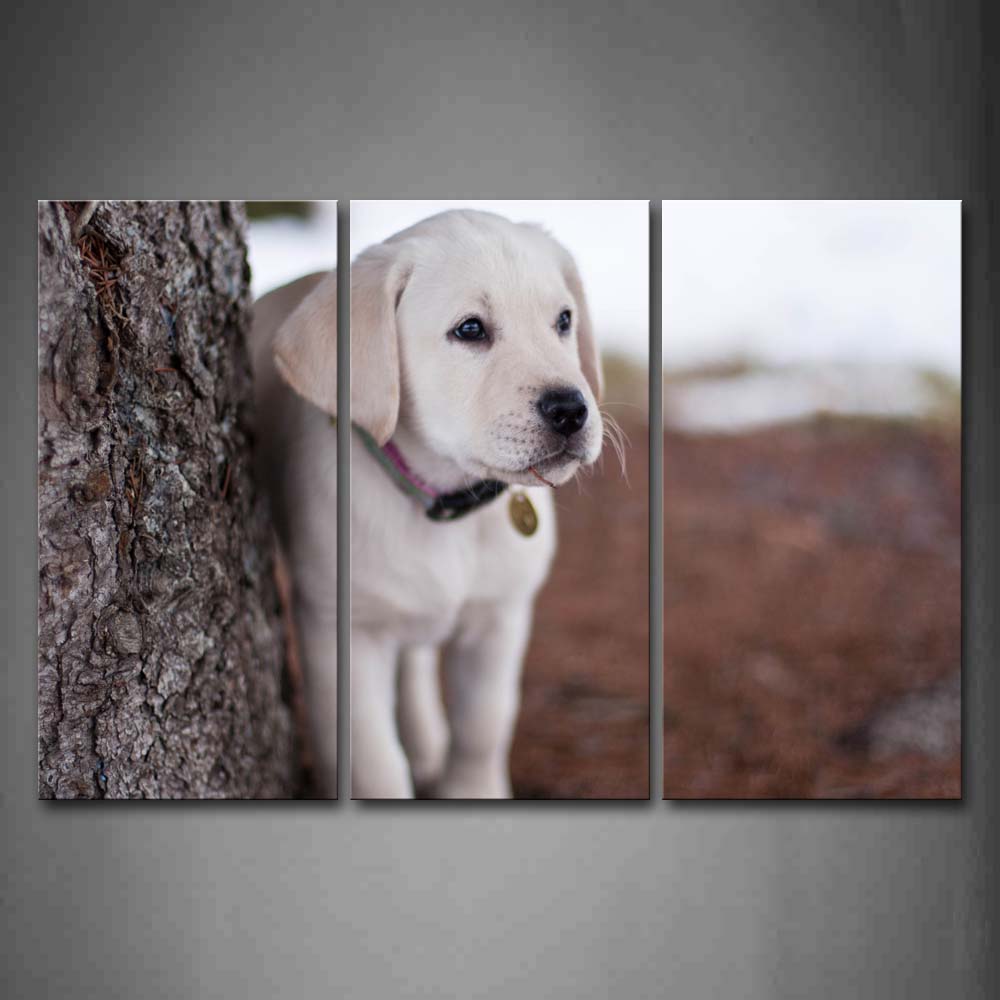 White Dog Stand Near A Trunk Wall Art Painting The Picture Print On Canvas Animal Pictures For Home Decor Decoration Gift 