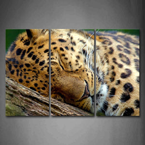 Leopard Bend Over On Wood Wall Art Painting The Picture Print On Canvas Animal Pictures For Home Decor Decoration Gift 