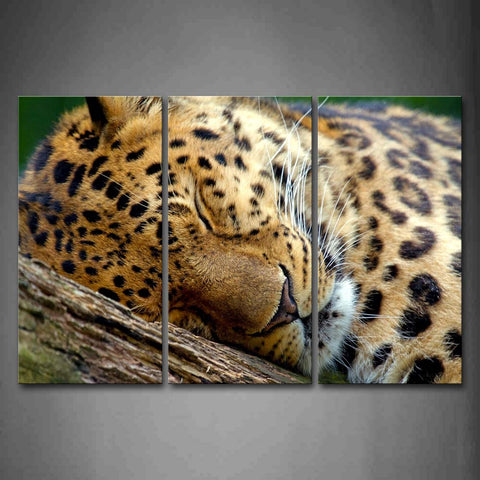 Leopard Bend Over On Wood Wall Art Painting The Picture Print On Canvas Animal Pictures For Home Decor Decoration Gift 