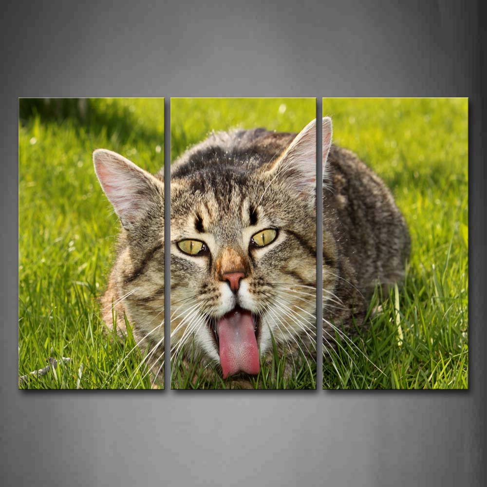 Cat Expose Tongue In Grass Wall Art Painting Pictures Print On Canvas Animal The Picture For Home Modern Decoration 