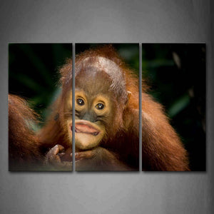 Orangutan Portrait Wall Art Painting The Picture Print On Canvas Animal Pictures For Home Decor Decoration Gift 