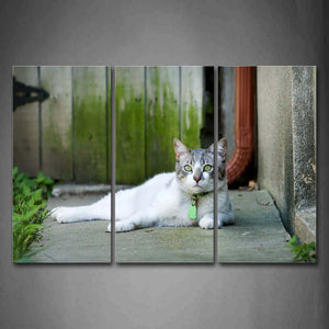 Cat Lie On Slate Grass  Wall Art Painting The Picture Print On Canvas Animal Pictures For Home Decor Decoration Gift 