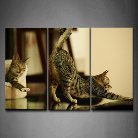 A Cat Stretch Body And The Other Is In Nest Wall Art Painting Pictures Print On Canvas Animal The Picture For Home Modern Decoration 