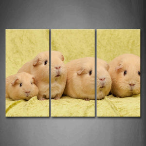 Guinea Pigs Stand On Blanket Wall Art Painting The Picture Print On Canvas Animal Pictures For Home Decor Decoration Gift 