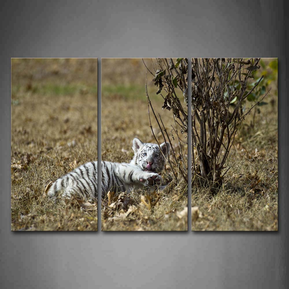 White Tiger Lie By The Tree Wall Art Painting The Picture Print On Canvas Animal Pictures For Home Decor Decoration Gift 