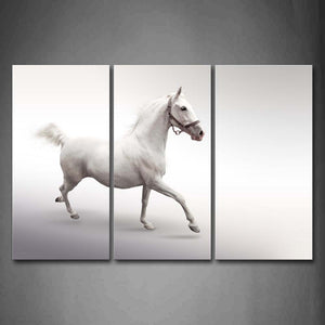 White  Horse Run On The Land Wall Art Painting The Picture Print On Canvas Animal Pictures For Home Decor Decoration Gift 