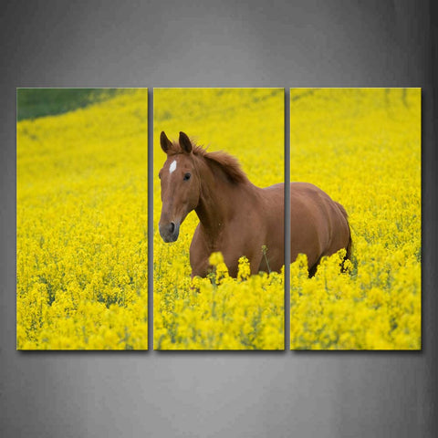 Yellow Orange Brown Horse Stand Among The Flowers Wall Art Painting The Picture Print On Canvas Animal Pictures For Home Decor Decoration Gift 