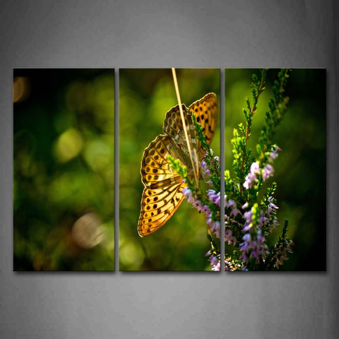 Yellow Butterfly Stand On Purple Flower Wall Art Painting The Picture Print On Canvas Animal Pictures For Home Decor Decoration Gift 