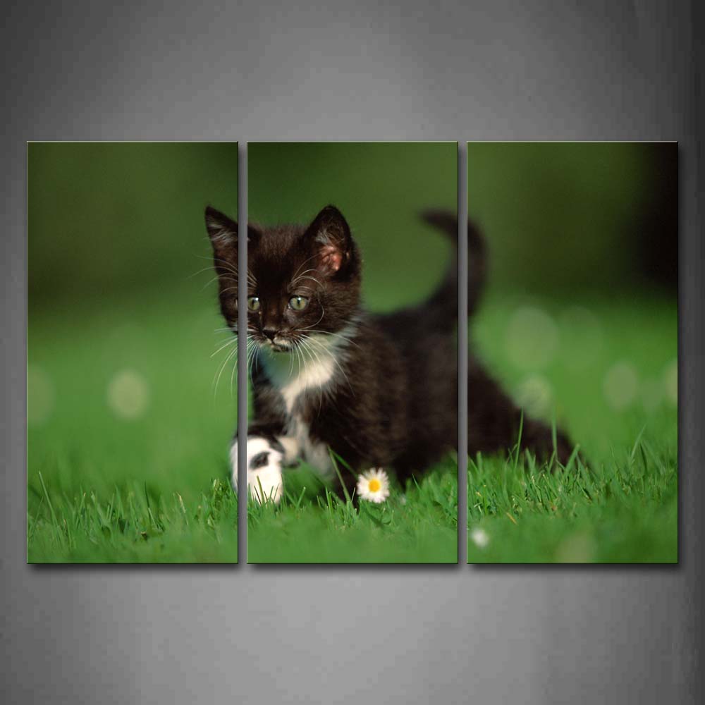 Black Cat Walk On Lawn Wall Art Painting The Picture Print On Canvas Animal Pictures For Home Decor Decoration Gift 