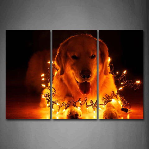 Yellow Orange Dog Twined By A Lamp Line  Wall Art Painting Pictures Print On Canvas Animal The Picture For Home Modern Decoration 