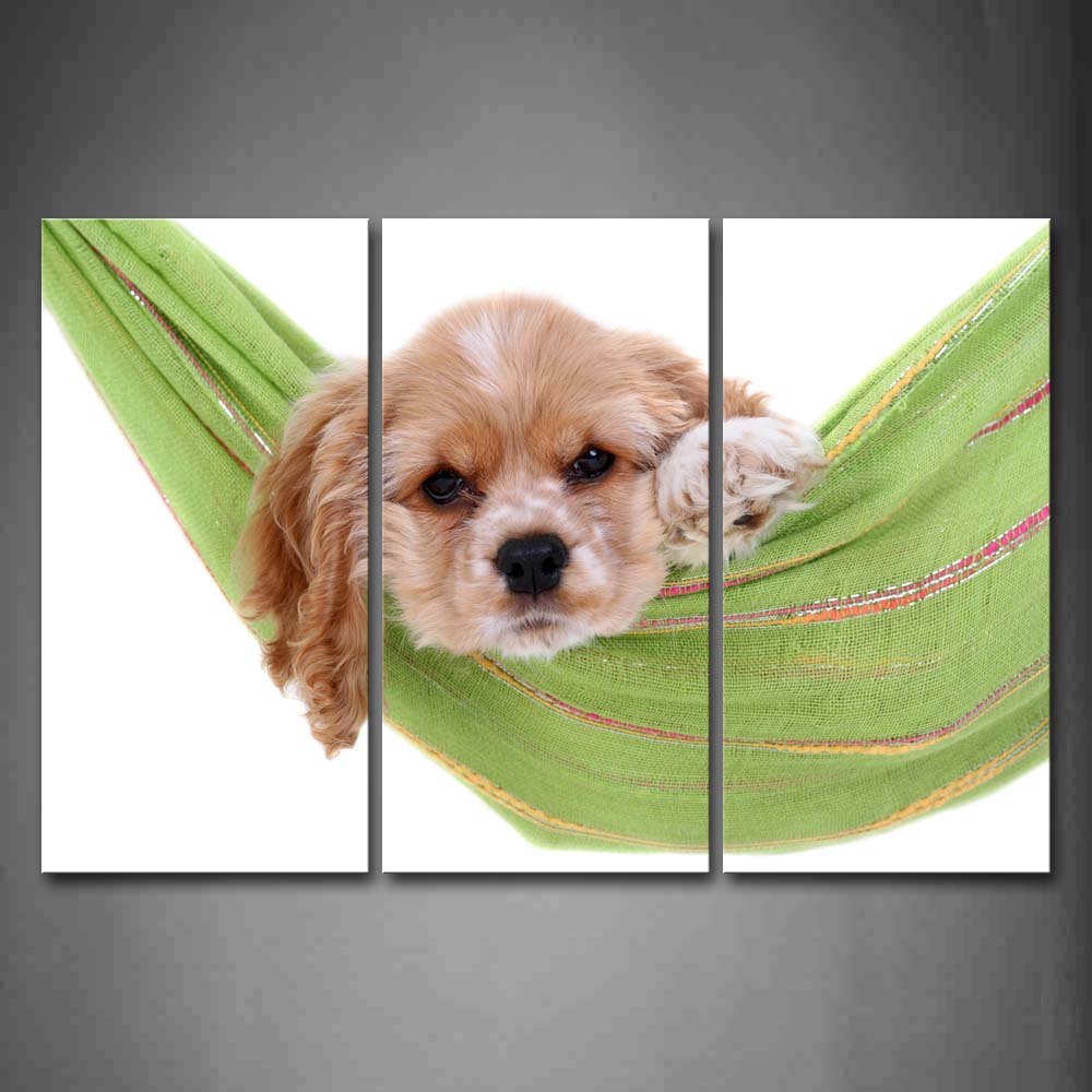 Yellow Dog Lie In A Hammock Wall Art Painting Pictures Print On Canvas Animal The Picture For Home Modern Decoration 