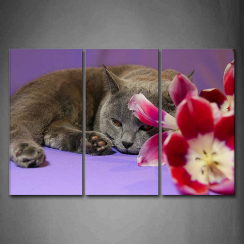 Gray Cat Lie On Purple Floor With Flower Wall Art Painting The Picture Print On Canvas Animal Pictures For Home Decor Decoration Gift 