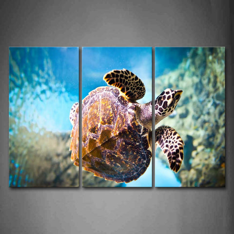 Turtle Swim Under The Sea Wall Art Painting Pictures Print On Canvas Animal The Picture For Home Modern Decoration 