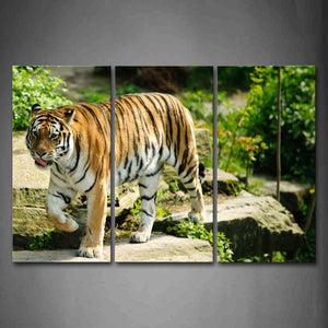 Tiger Walk On The Stone Road With Green Leaves Wall Art Painting The Picture Print On Canvas Animal Pictures For Home Decor Decoration Gift 