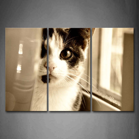 Cat Near Window Inside Room Wall Art Painting Pictures Print On Canvas Animal The Picture For Home Modern Decoration 