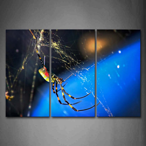 Spider Is Spinning Web Wall Art Painting The Picture Print On Canvas Animal Pictures For Home Decor Decoration Gift 