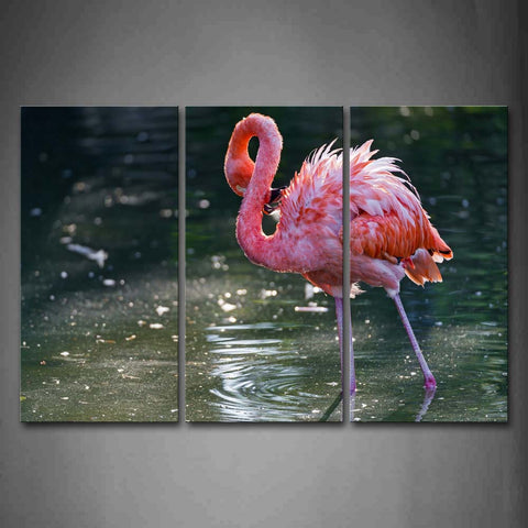 Red Flamingo Stand On The Water Wall Art Painting Pictures Print On Canvas Animal The Picture For Home Modern Decoration 