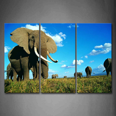 Elephants Walk On The Grass Under Blue Sky Wall Art Painting The Picture Print On Canvas Animal Pictures For Home Decor Decoration Gift 