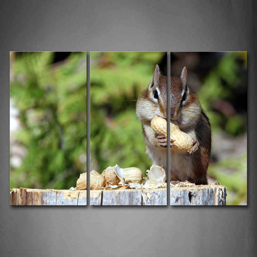 Chipmunk Eat Peanut On Deadman Wall Art Painting The Picture Print On Canvas Animal Pictures For Home Decor Decoration Gift 