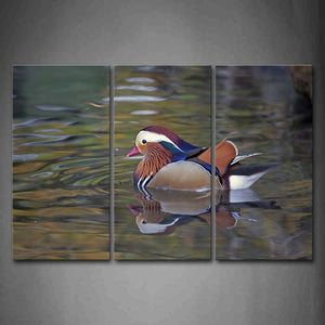 Colorful Duck With Red Beak In Water   Wall Art Painting The Picture Print On Canvas Animal Pictures For Home Decor Decoration Gift 