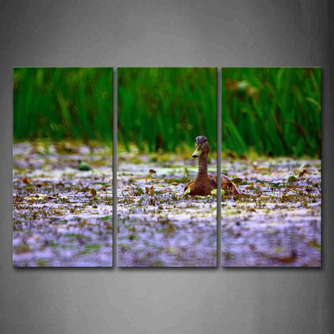 Yellow Duck In The Water With Green High Grass Wall Art Painting Pictures Print On Canvas Animal The Picture For Home Modern Decoration 