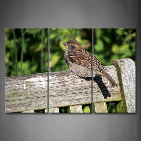 Brown Bird Stand On A Bench Near Tree Wall Art Painting The Picture Print On Canvas Animal Pictures For Home Decor Decoration Gift 