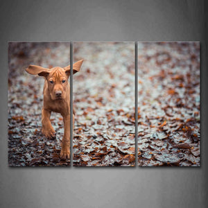 Brown Dog Walking On Floor Covered With Leaves Wall Art Painting The Picture Print On Canvas Animal Pictures For Home Decor Decoration Gift 