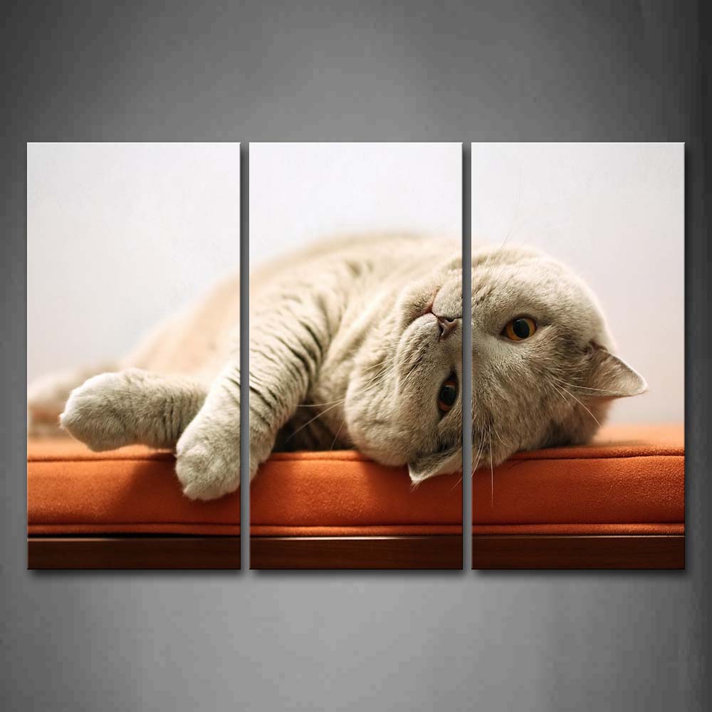 Gray Cat Lie On The Orange Bed Wall Art Painting Pictures Print On Canvas Animal The Picture For Home Modern Decoration 