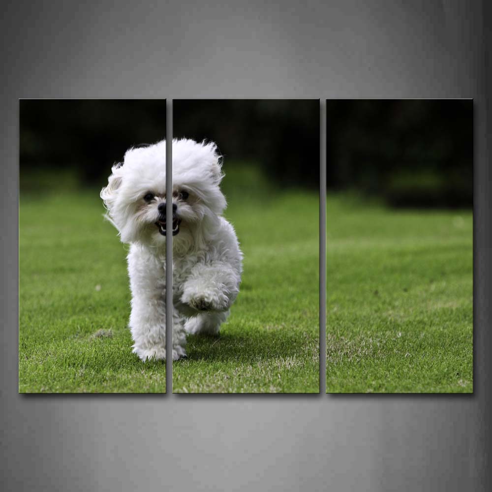 White Dog Walking On The Lawn  Wall Art Painting Pictures Print On Canvas Animal The Picture For Home Modern Decoration 