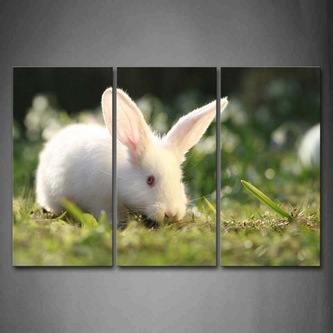 White Rabbit Eat Grass On The Lawn Wall Art Painting The Picture Print On Canvas Animal Pictures For Home Decor Decoration Gift 