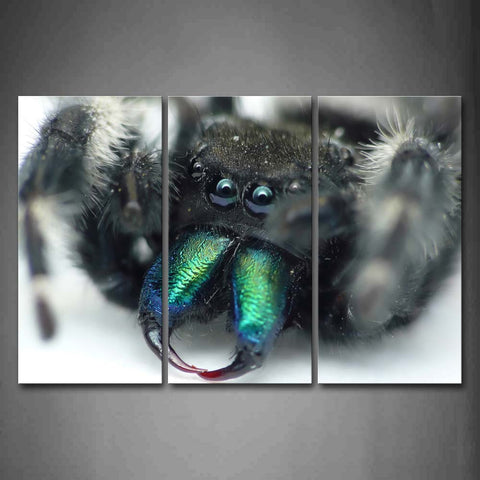 Black Spider With Green Teeth  Wall Art Painting The Picture Print On Canvas Animal Pictures For Home Decor Decoration Gift 