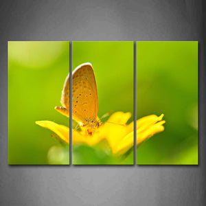 Yellow Butterfly Stand On A Yellow Flower Wall Art Painting The Picture Print On Canvas Animal Pictures For Home Decor Decoration Gift 