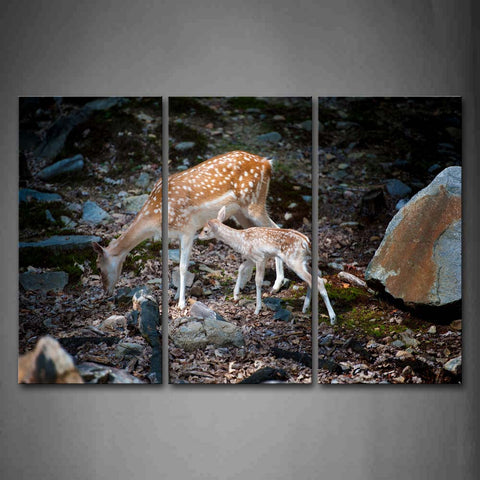 Mother Deer With Cub Walking On The Floor With Rocks Wall Art Painting Pictures Print On Canvas Animal The Picture For Home Modern Decoration 