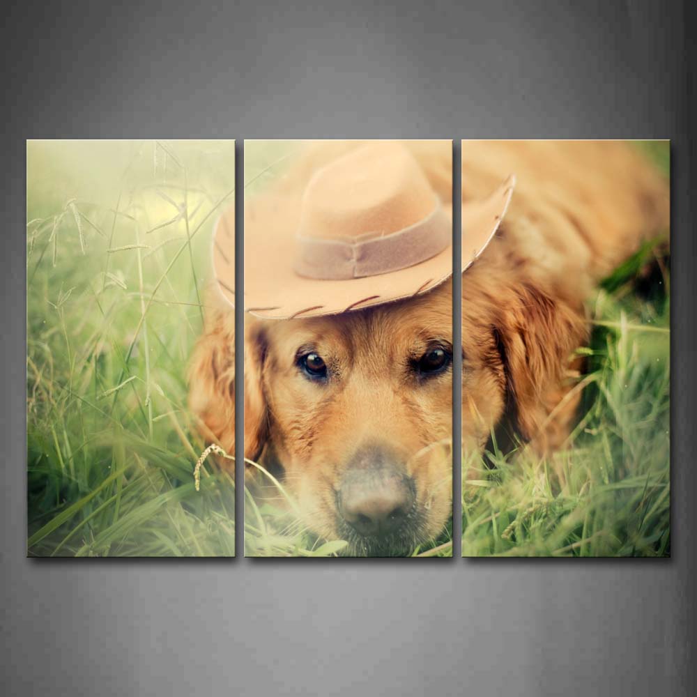 Yellow Dog Wear Hat Lying On Grass Wall Art Painting The Picture Print On Canvas Animal Pictures For Home Decor Decoration Gift 