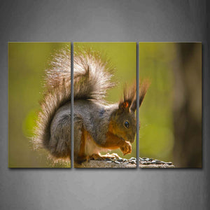 Squirrel Eat Food On Wood Wall Art Painting Pictures Print On Canvas Animal The Picture For Home Modern Decoration 