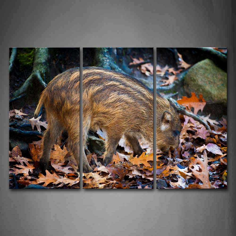 Boar Walk On Floor Covered By Leaves Under Tree Wall Art Painting The Picture Print On Canvas Animal Pictures For Home Decor Decoration Gift 