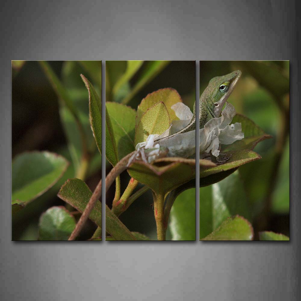 Green Lizard Hide On Green Leaf Wall Art Painting The Picture Print On Canvas Animal Pictures For Home Decor Decoration Gift 