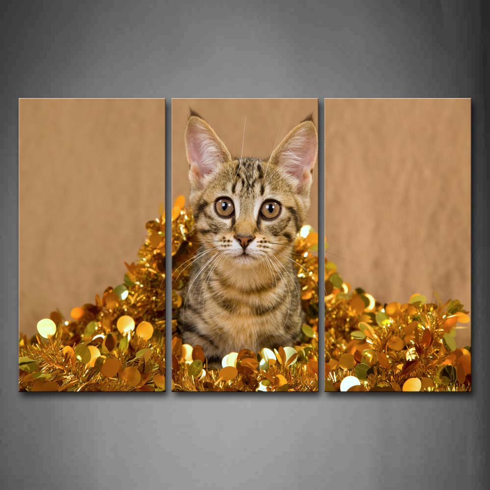 Yellow Cat Wear Golden Clothes Wall Art Painting The Picture Print On Canvas Animal Pictures For Home Decor Decoration Gift 