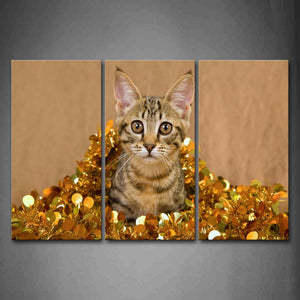 Yellow Cat Wear Golden Clothes Wall Art Painting The Picture Print On Canvas Animal Pictures For Home Decor Decoration Gift 