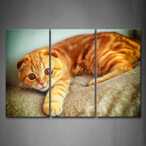 Brown Cute Yellow Cat Lie On Bed  Wall Art Painting Pictures Print On Canvas Animal The Picture For Home Modern Decoration 